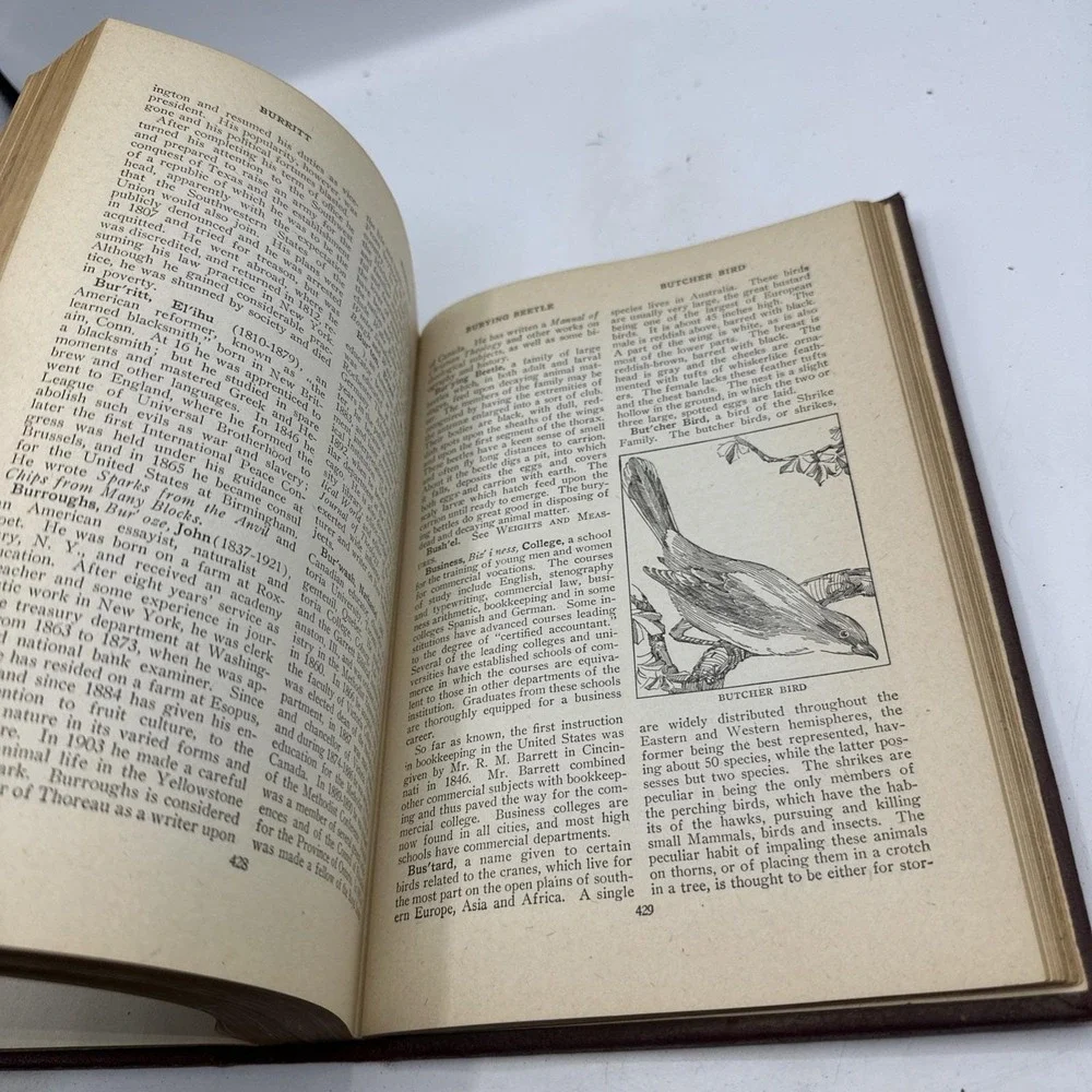 The Home and School Reference Work Volume 1 A To Candle (1922) Hardcover
